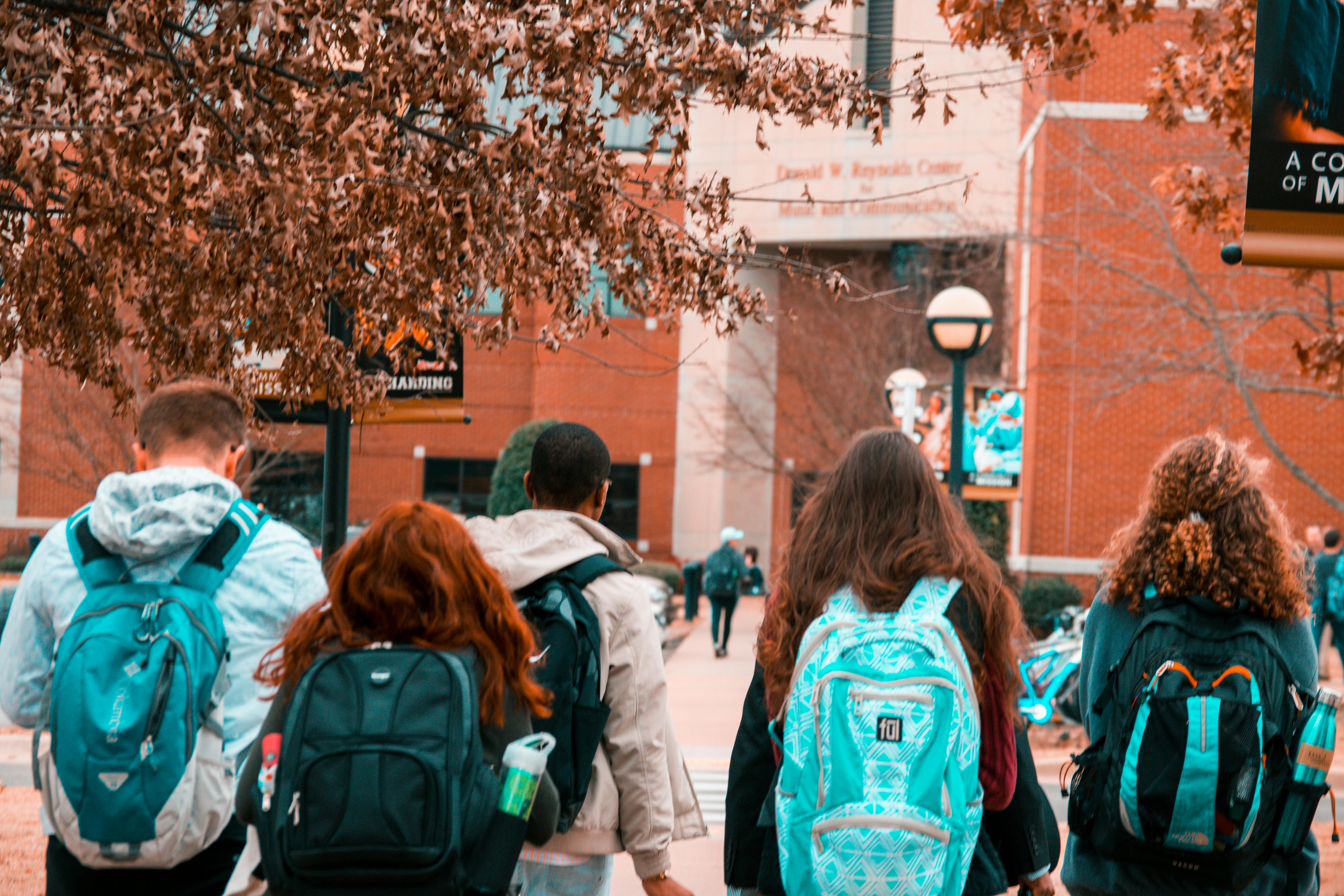 Students collaborating on campus lawn